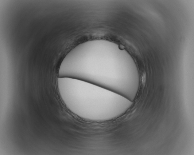 X0000114181299200910081125