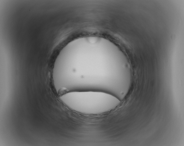 X0000114181302200910081125