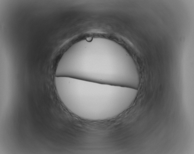 X0000114181303200910081125