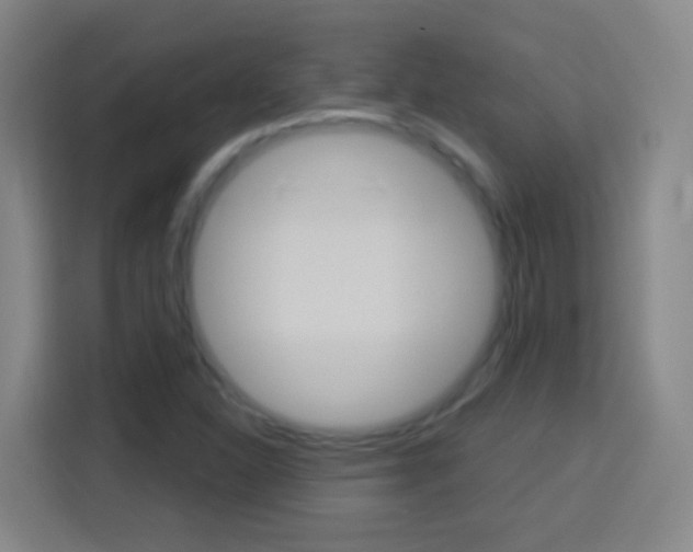 X0000114181310200910081125