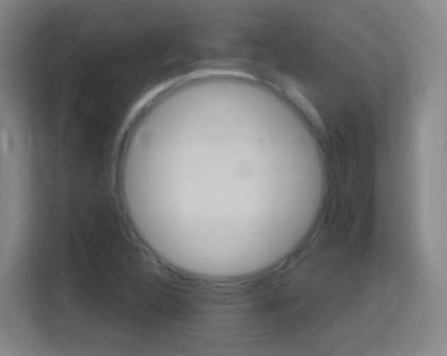 X0000114181312200910081125
