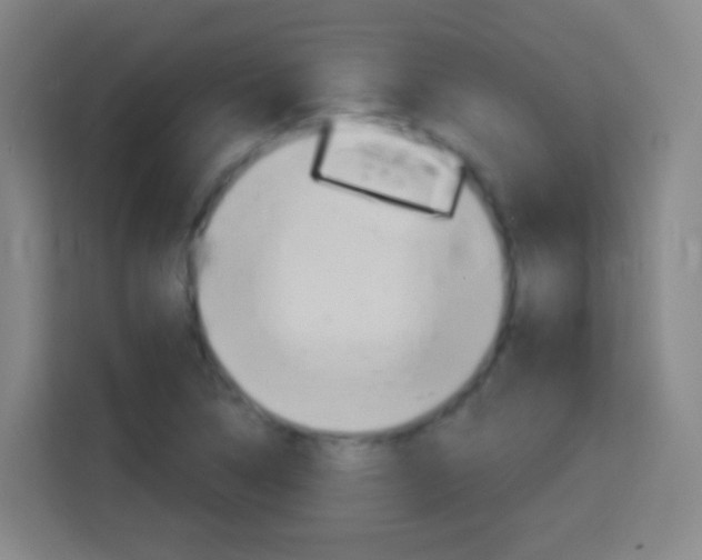 X0000114181314200910081125