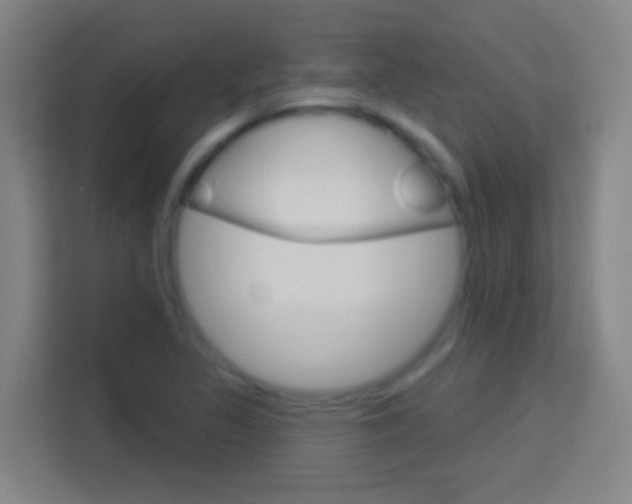 X0000114181317200910081125