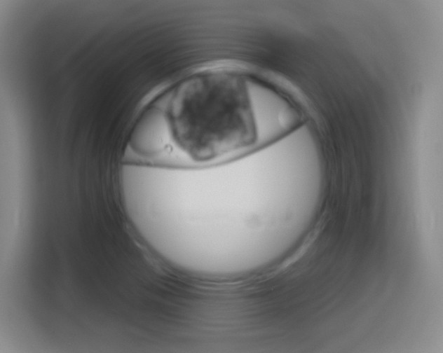 X0000114181321200910081125