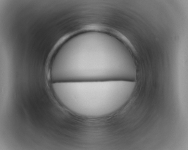 X0000114181323200910081125