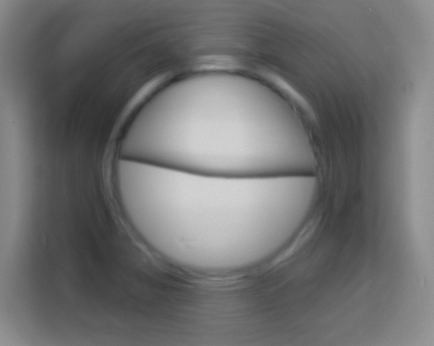 X0000114181325200910081125