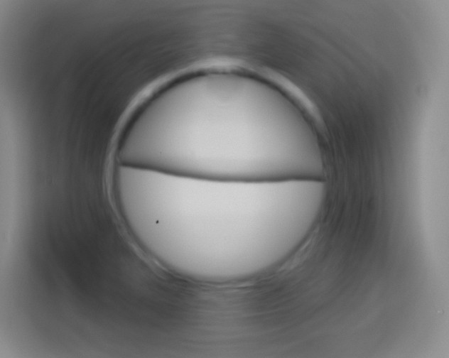 X0000114181327200910081125