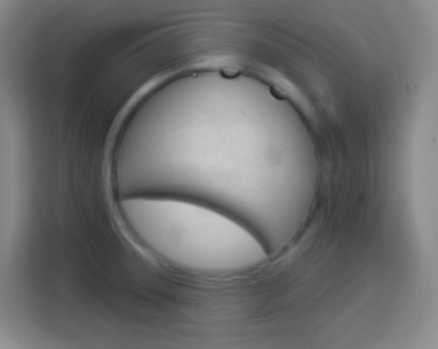 X0000114181331200910081125