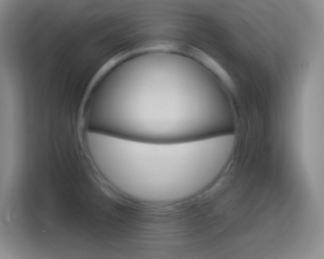 X0000114181332200910081125