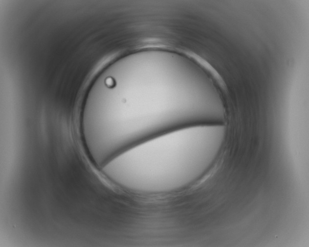 X0000114181333200910081125