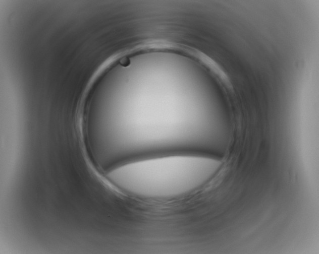 X0000114181334200910081125