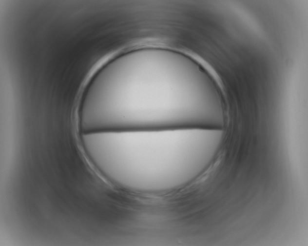 X0000114181341200910081126