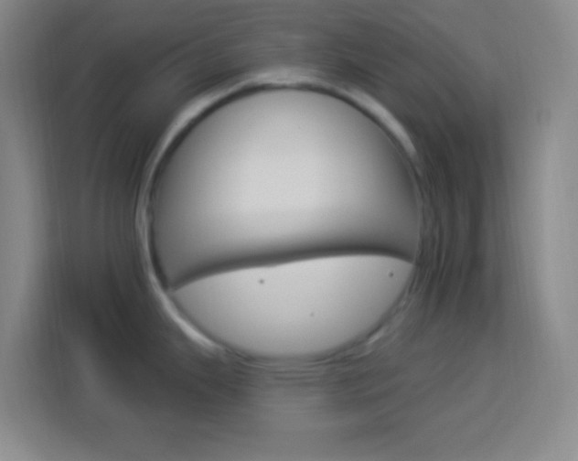 X0000114181343200910081126
