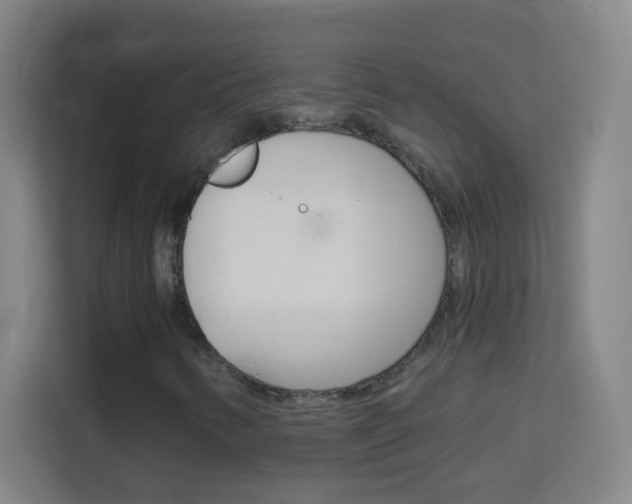 X0000114181346200910081125