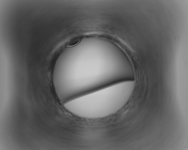 X0000114181351200910081125