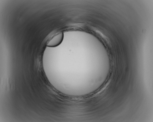 X0000114181354200910081125