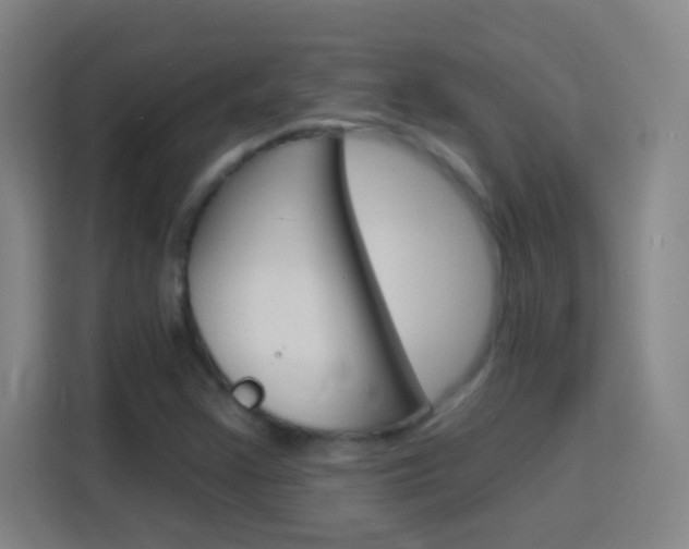X0000114181355200910081125
