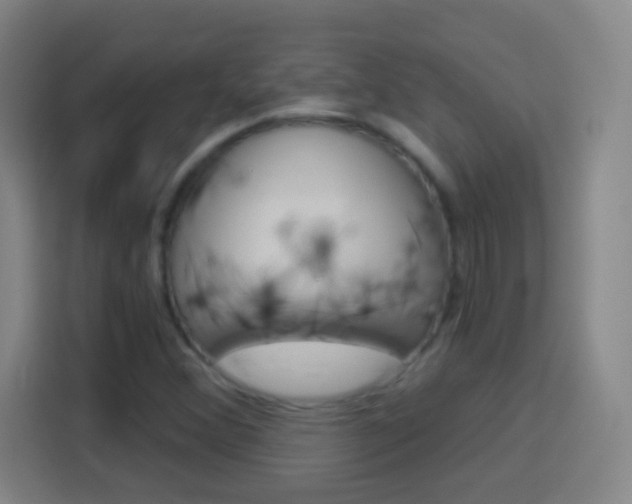 X0000114181356200910081125