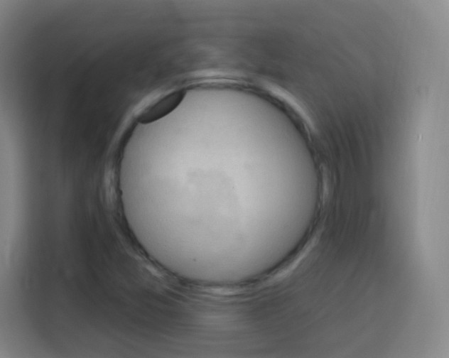 X0000114181357200910081125