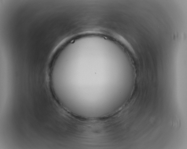 X0000114181360200910081125