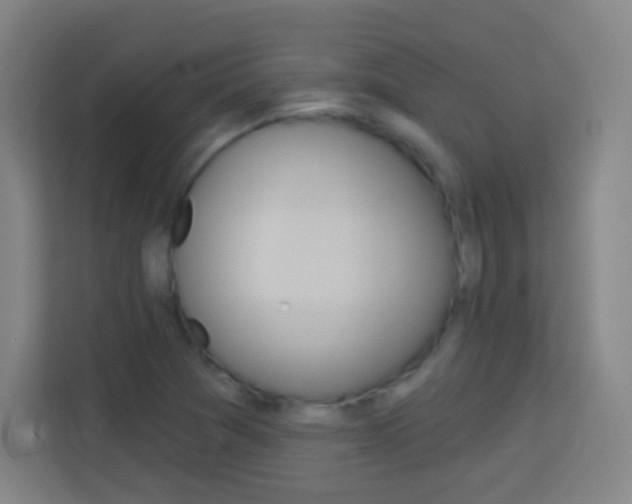 X0000114181361200910081125