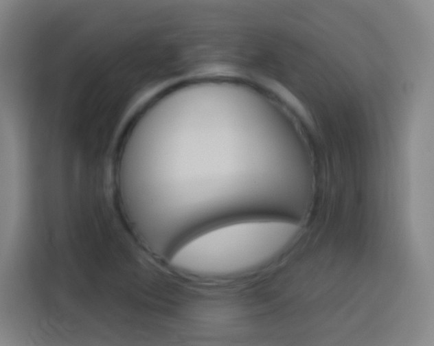 X0000114181364200910081125