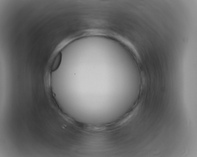 X0000114181365200910081125
