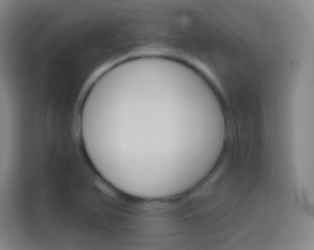 X0000114181366200910081125