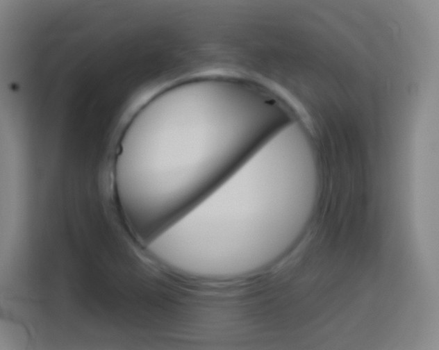 X0000114181367200910081125