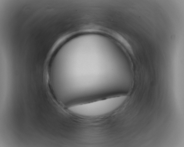 X0000114181368200910081125