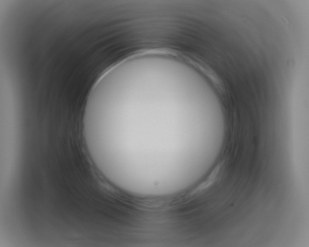 X0000114181369200910081125