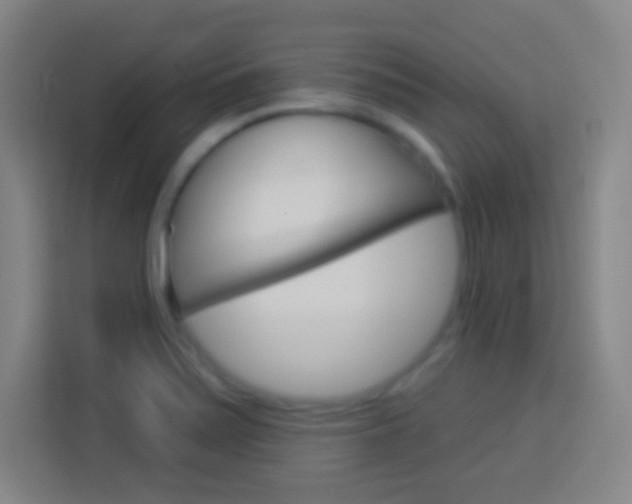 X0000114181371200910081125
