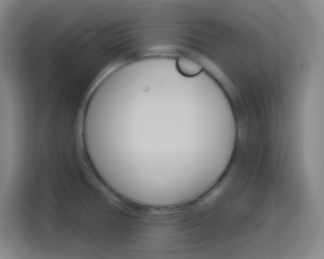 X0000114181378200910081125