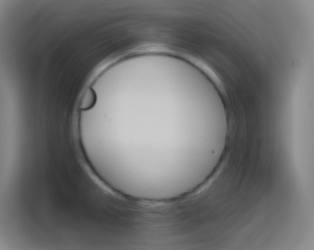 X0000114181382200910081125