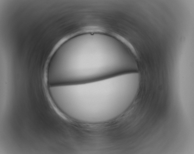 X0000114181383200910081124