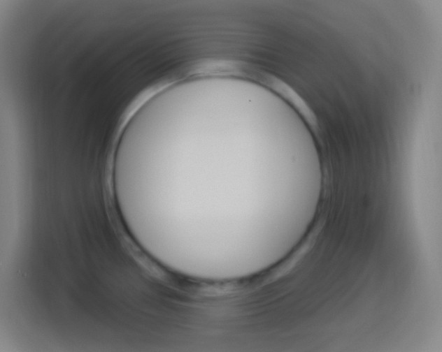 X0000114181386200910081124