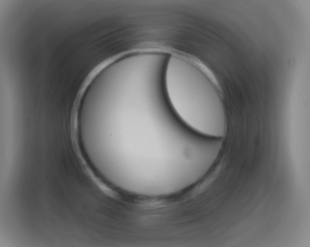 X0000114181387200910081124