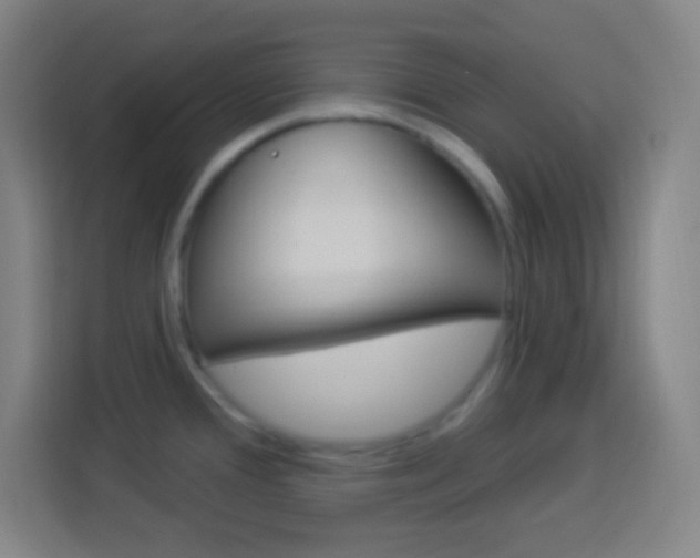 X0000114181388200910081124