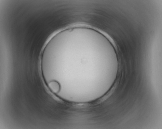 X0000114181390200910081124