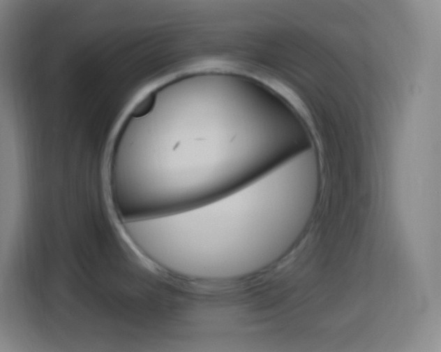 X0000114181392200910081124