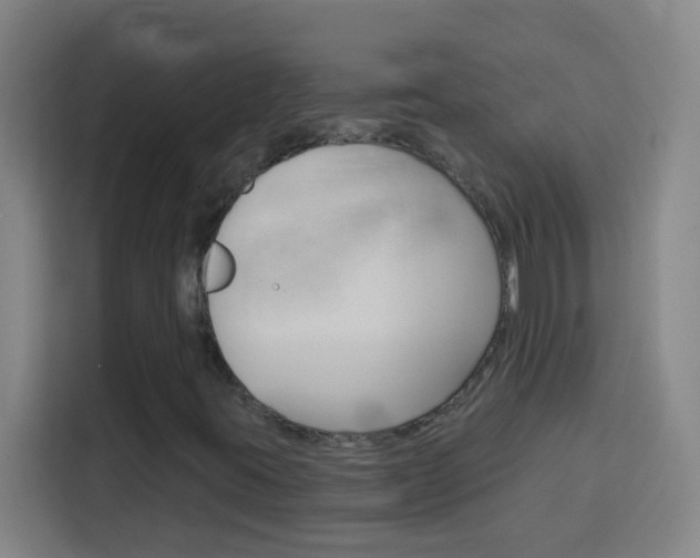 X0000114181395200910081124
