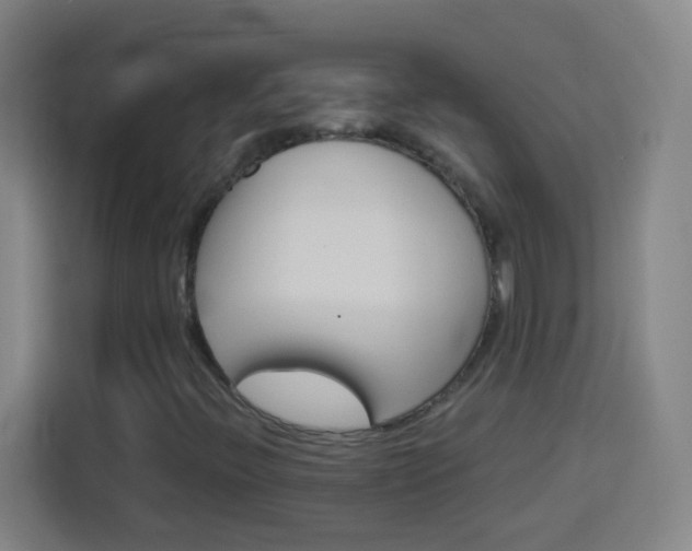 X0000114181396200910081124
