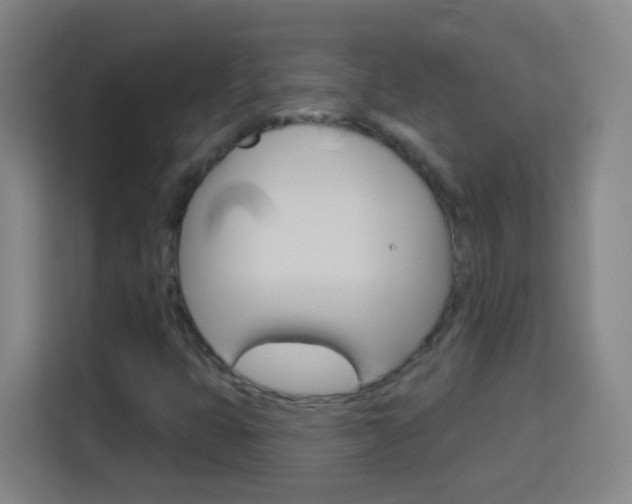 X0000114181399200910081124