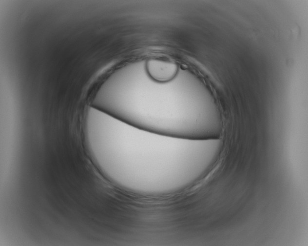 X0000114181402200910081124