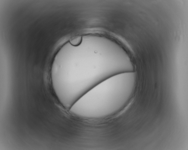 X0000114181405200910081124