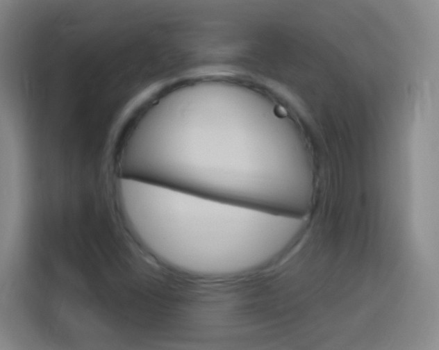 X0000114181406200910081124