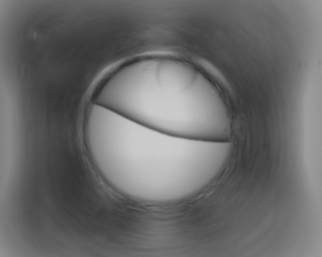 X0000114181408200910081124