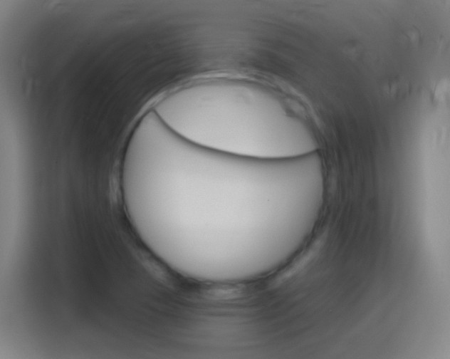 X0000114181409200910081124
