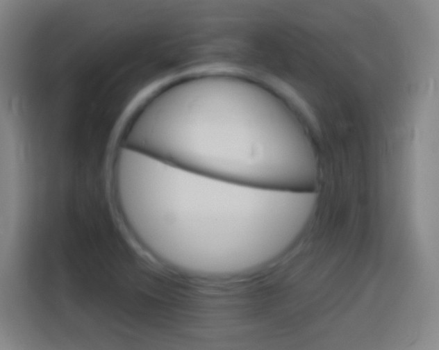 X0000114181416200910081124