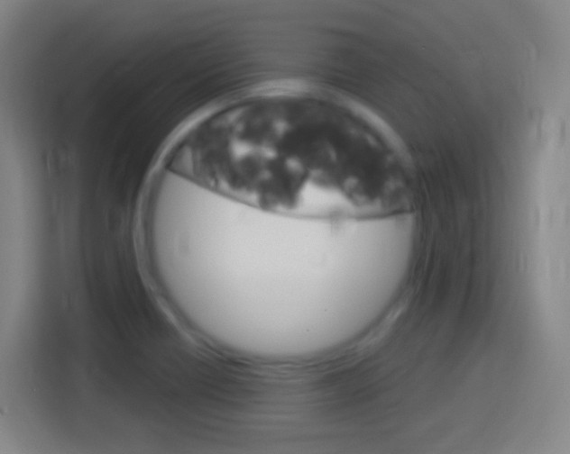X0000114181418200910081124